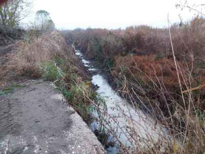 Чистење на XIII - одводен канал Зик Пелагонија